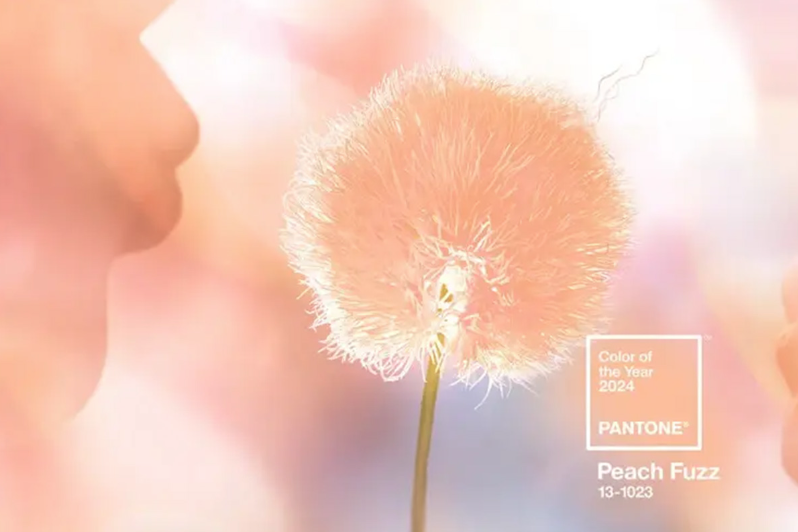 Pantone 2024年度顏色：新的一年，新的趨勢(shì)
